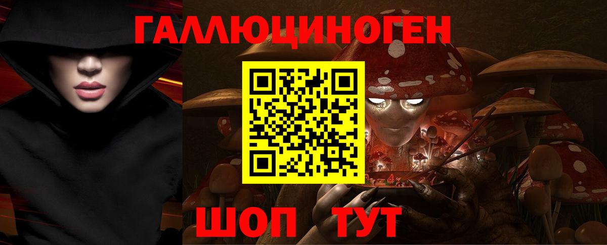 Кропоткин  Псилоцибиновые грибы прущие грибы  Вход с VPN 
